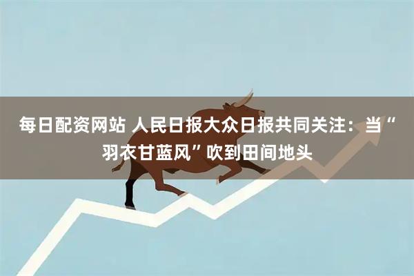 每日配资网站 人民日报大众日报共同关注：当“羽衣甘蓝风”吹到田间地头