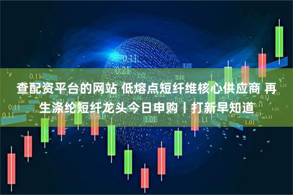 查配资平台的网站 低熔点短纤维核心供应商 再生涤纶短纤龙头今日申购丨打新早知道