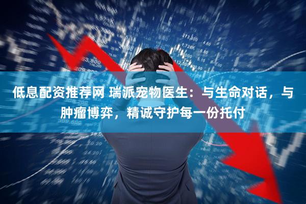 低息配资推荐网 瑞派宠物医生：与生命对话，与肿瘤博弈，精诚守护每一份托付