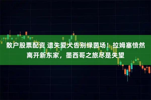 散户股票配资 遗失爱犬告别绿茵场！拉姆塞愤然离开新东家，墨西哥之旅尽是失望