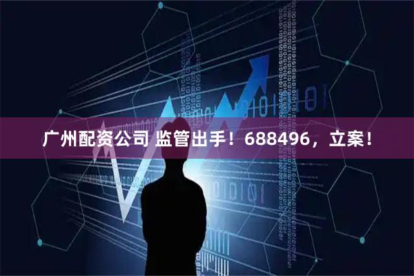 广州配资公司 监管出手！688496，立案！