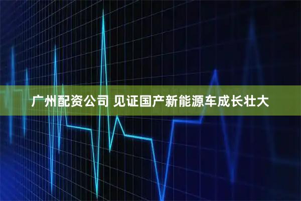 广州配资公司 见证国产新能源车成长壮大